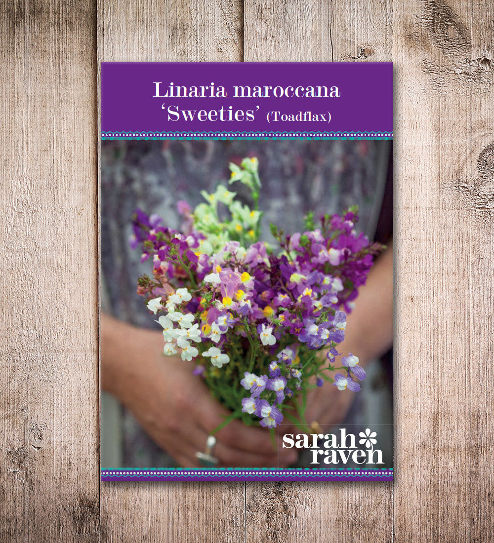 Sarah Raven Linaria maroccana Sweeties Blumensamen 500 Samen
