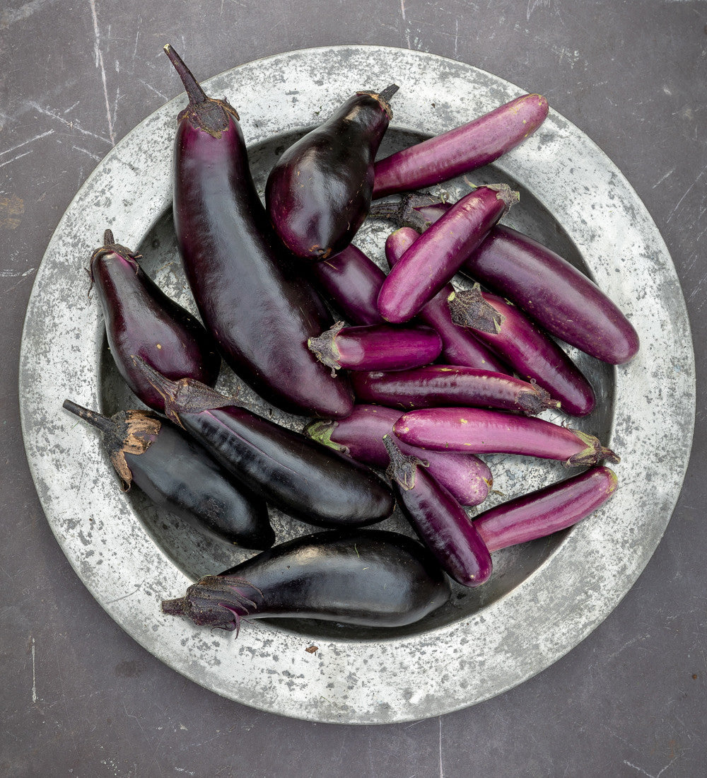 Sarah Raven Seeds Aubergine Slim Jim Auberginensamen 50 Samen lang