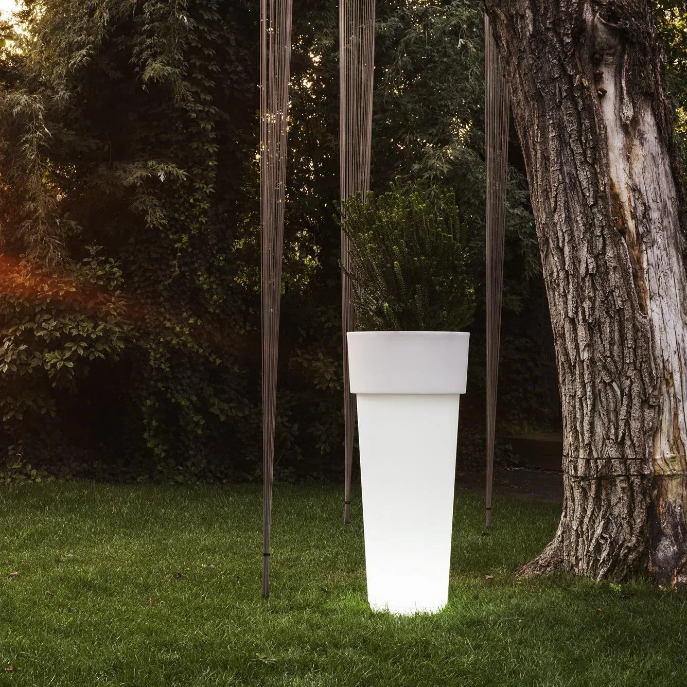 Serralunga Marcantonio Pflanztopf Licht 50x50x120