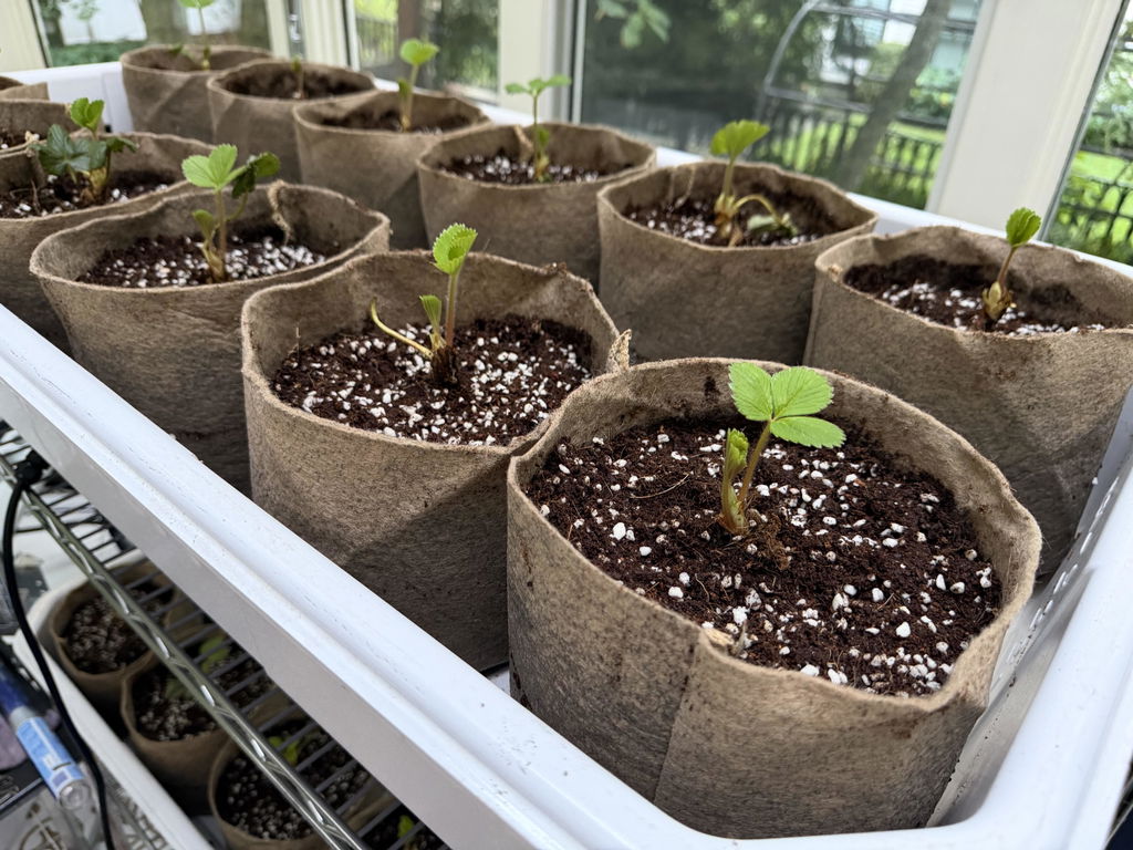 Smart Pot Fabric Planters Stofftopf atmungsaktiv