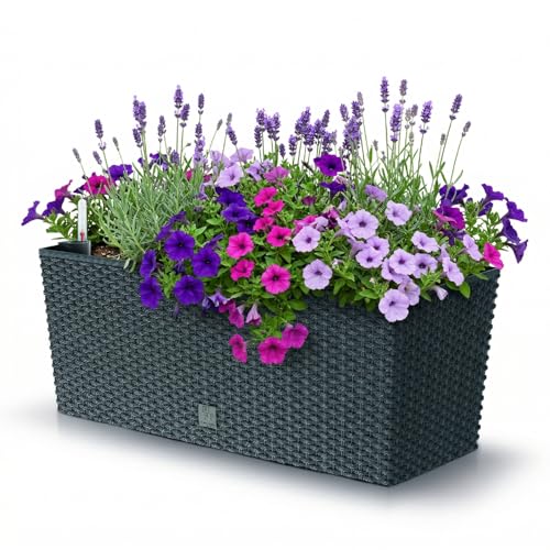 Prosperplast Rato Case Blumenkasten anthrazit 17L Bewässerung