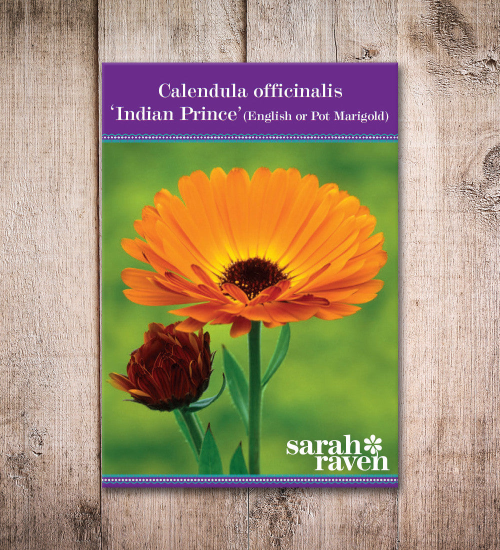 Sarah Raven Plants Calendula Indian Prince Samen 125 Samen