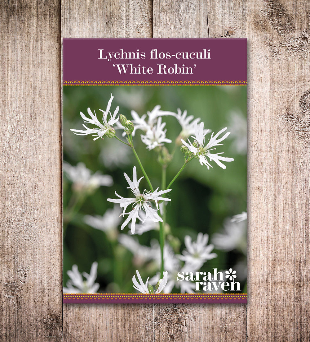 Sarah Raven Lychnis flos-cuculi alba Samen 200 Stück