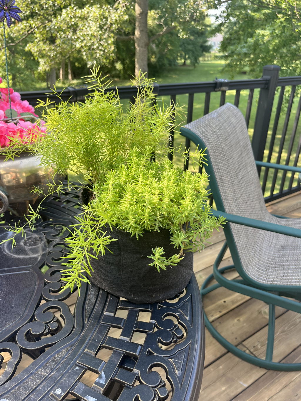 Smart Pot Fabric Planters Stofftopf atmungsaktiv