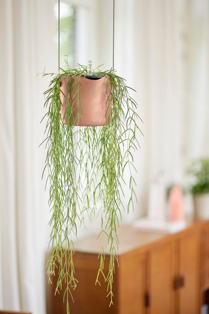 elho B.for Swing 18cm Blumentopf Zartrosa Hängeampel