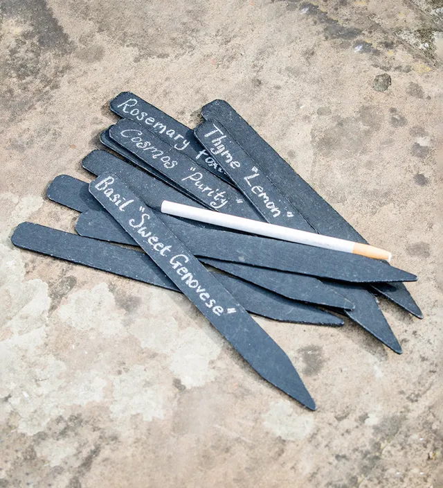 Sarah Raven Pflanzschilder Schwarz 20 Stück mit Stift 25cm