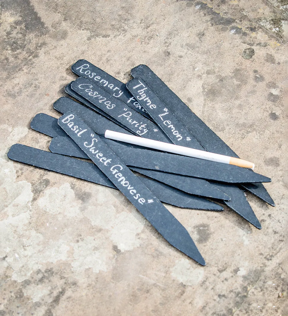 Sarah Raven Pflanzschilder Schwarz 20 Stück mit Stift 25cm