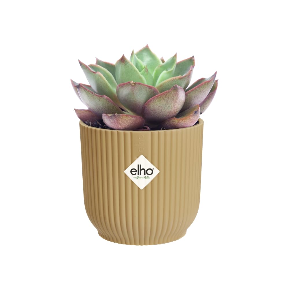 elho Vibes Blumentopf Mini 7cm buttergelb rund für innen
