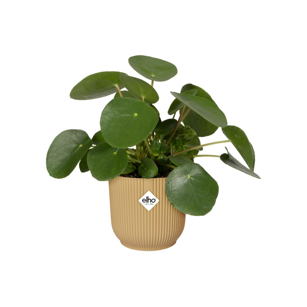 elho Vibes Fold Rund 35 Blumentopf Buttergelb mit Rollen
