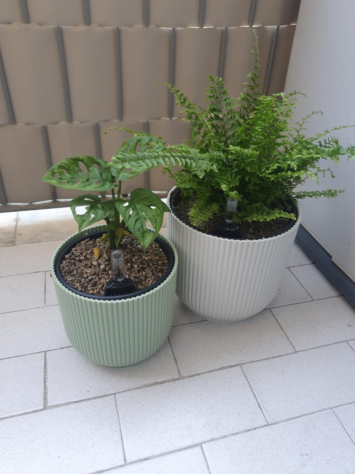 elho Bewässerungssystem 24 cm Living Schwarz Selbstbewässerung