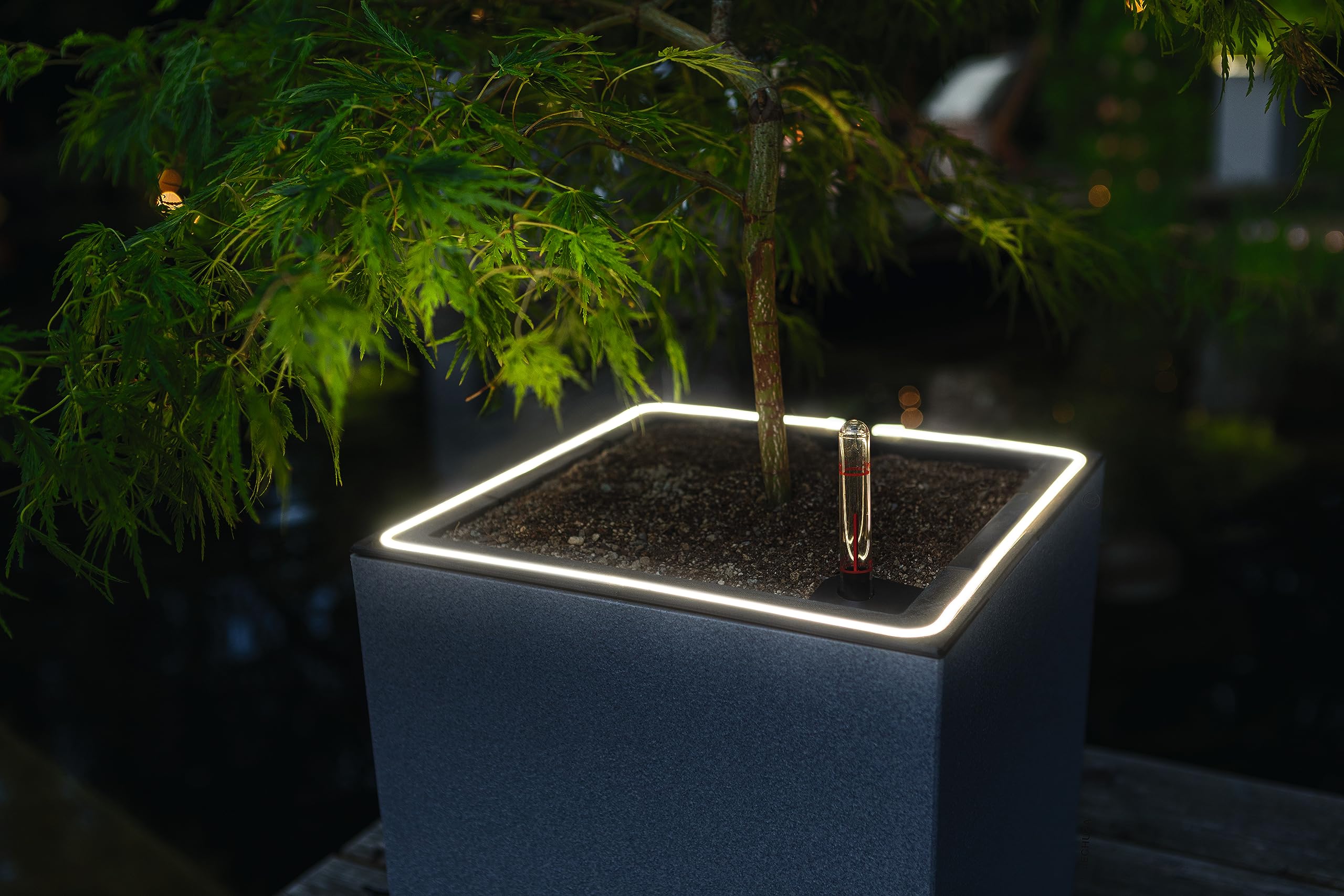 Lechuza Canto Stone 30 high Pflanzgefäß Quarzweiß mit LED