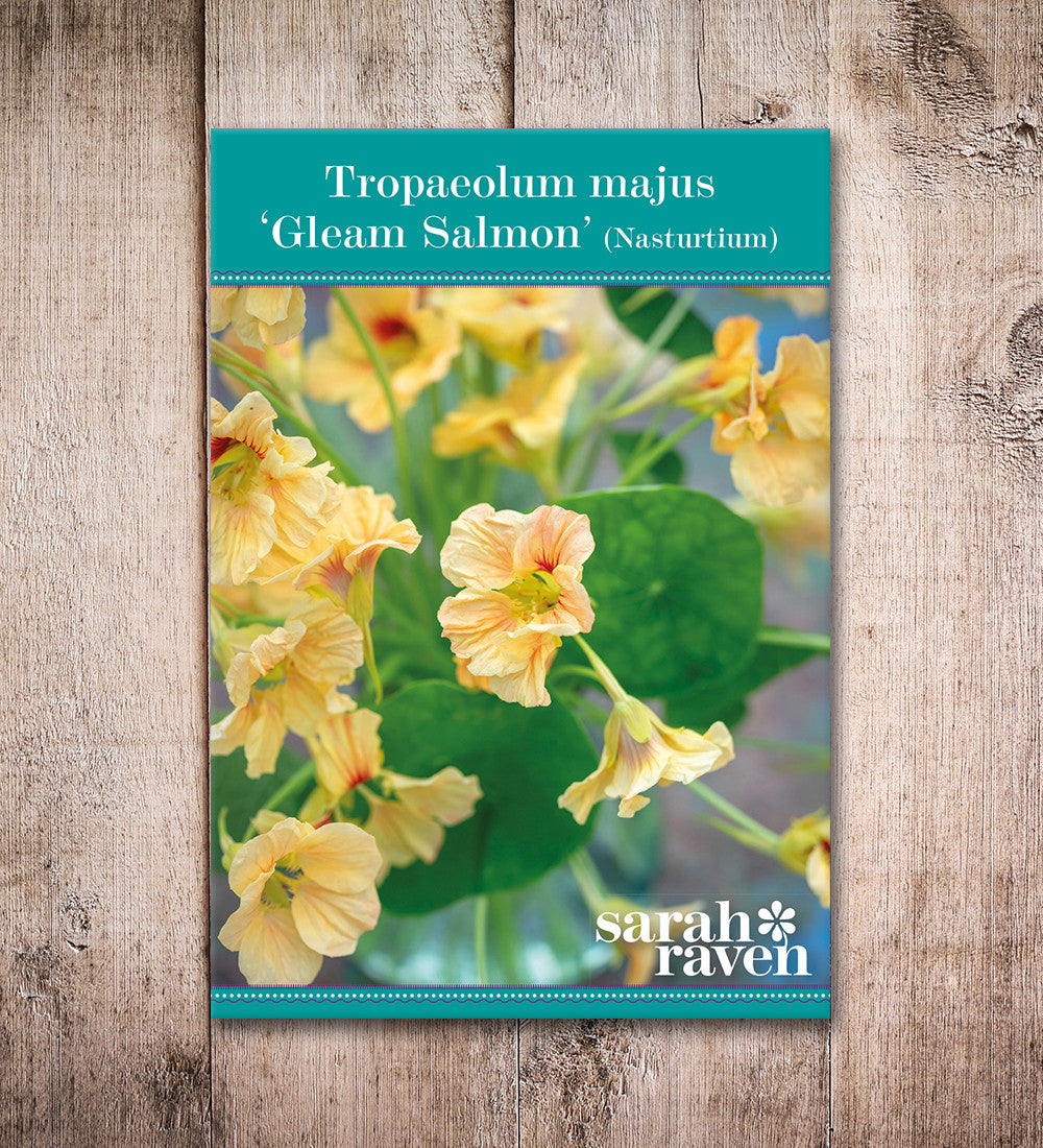 Sarah Raven Seeds Nasturtium Gleam Salmon Blumensamen 30 Samen lachs