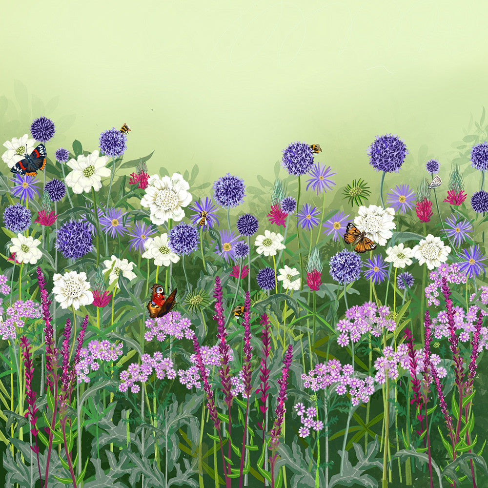 Sarah Raven Plants Loved by Pollinators Stauden 18x 9cm Bienenmischung