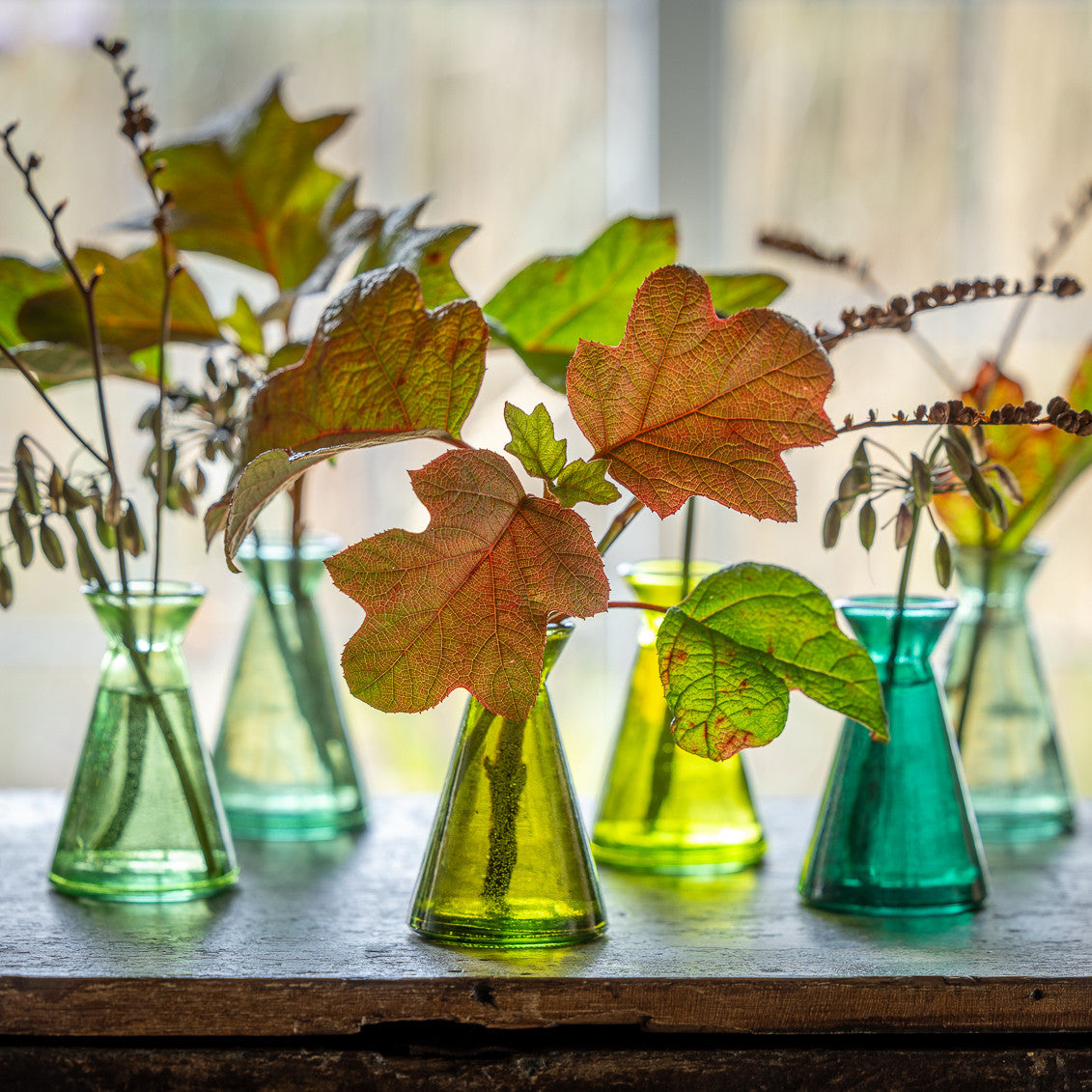 Sarah Raven Asolo Vasen Glas 6er Set Grün 11cm Recyclingglas