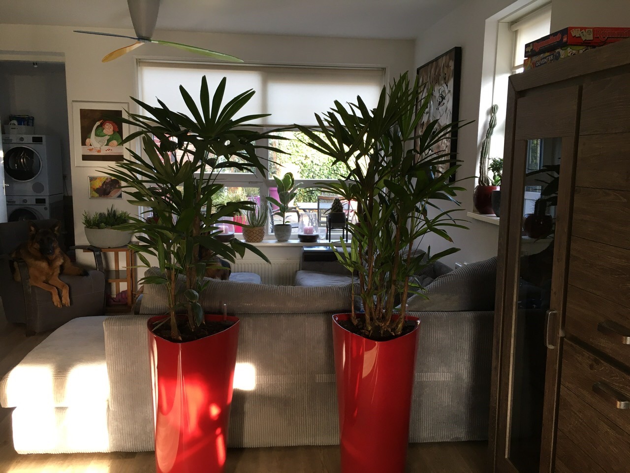 Lechuza Delta Premium 30 Pflanzsäule Anthrazit Metallic