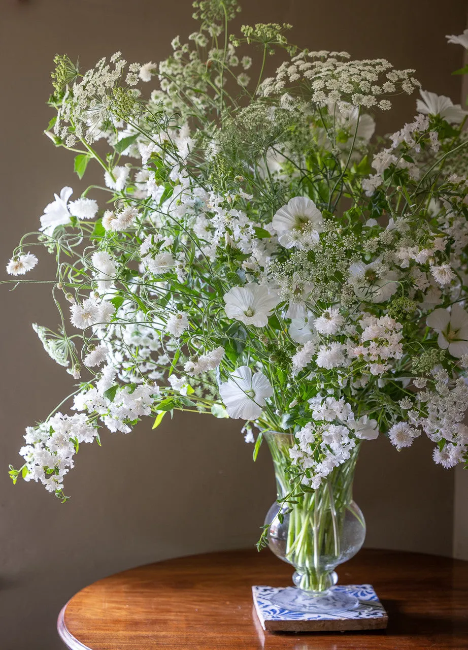 Sarah Raven White Shades Meadow Blumensamen 3 Tüten