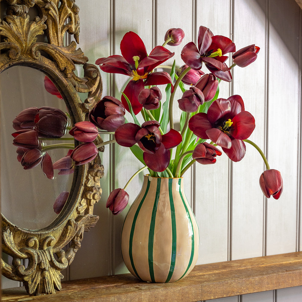 Sarah Raven Tulpe Dom Pedro Blumenzwiebeln Terracotta 10 Stück