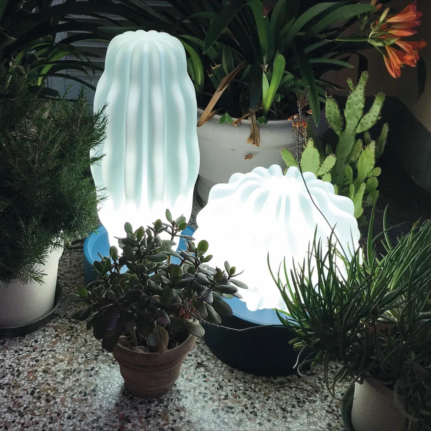 Serralunga Cactus Large Leuchtkaktus Grün mit Weißlicht