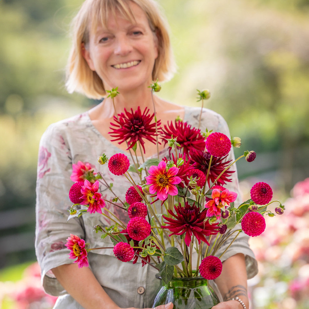 Sarah Raven Josies Dahlien Kollektion Knollen 3 Knollen