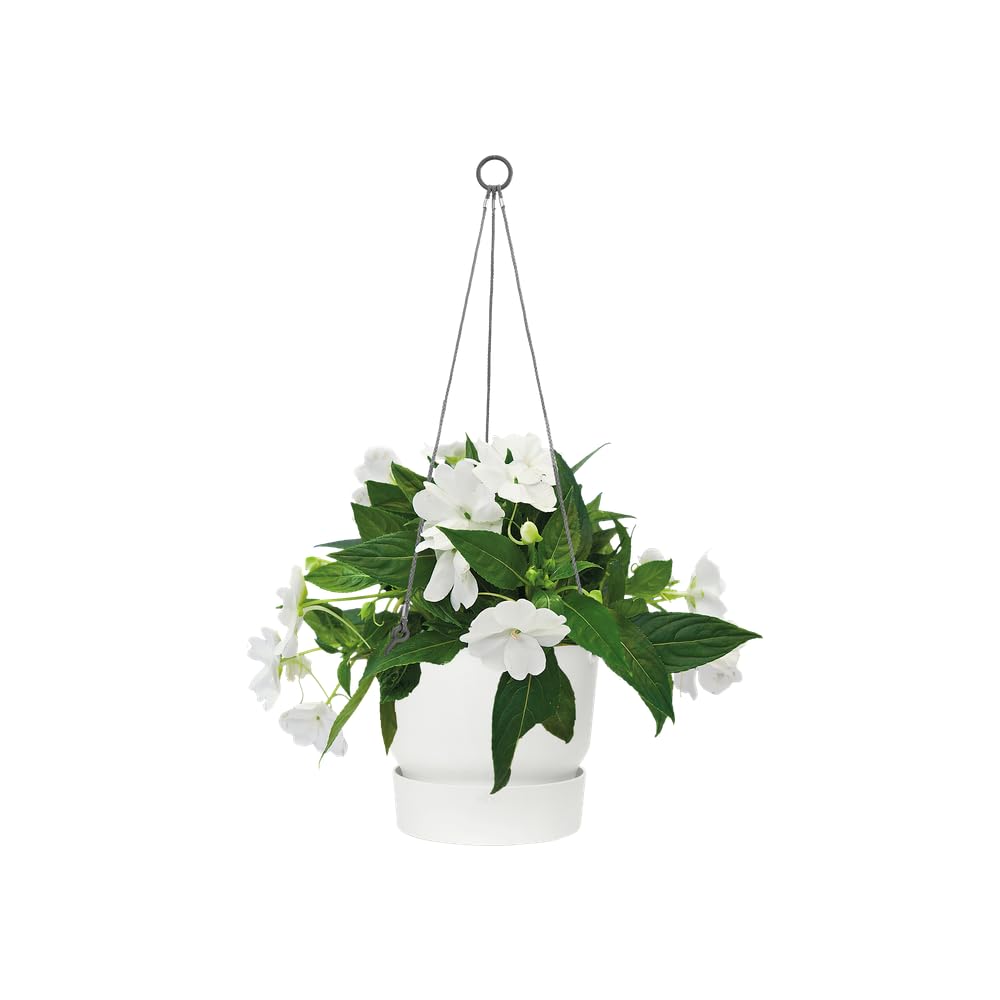 elho Greenville Hängeampel 24cm Weiß mit Untersetzer