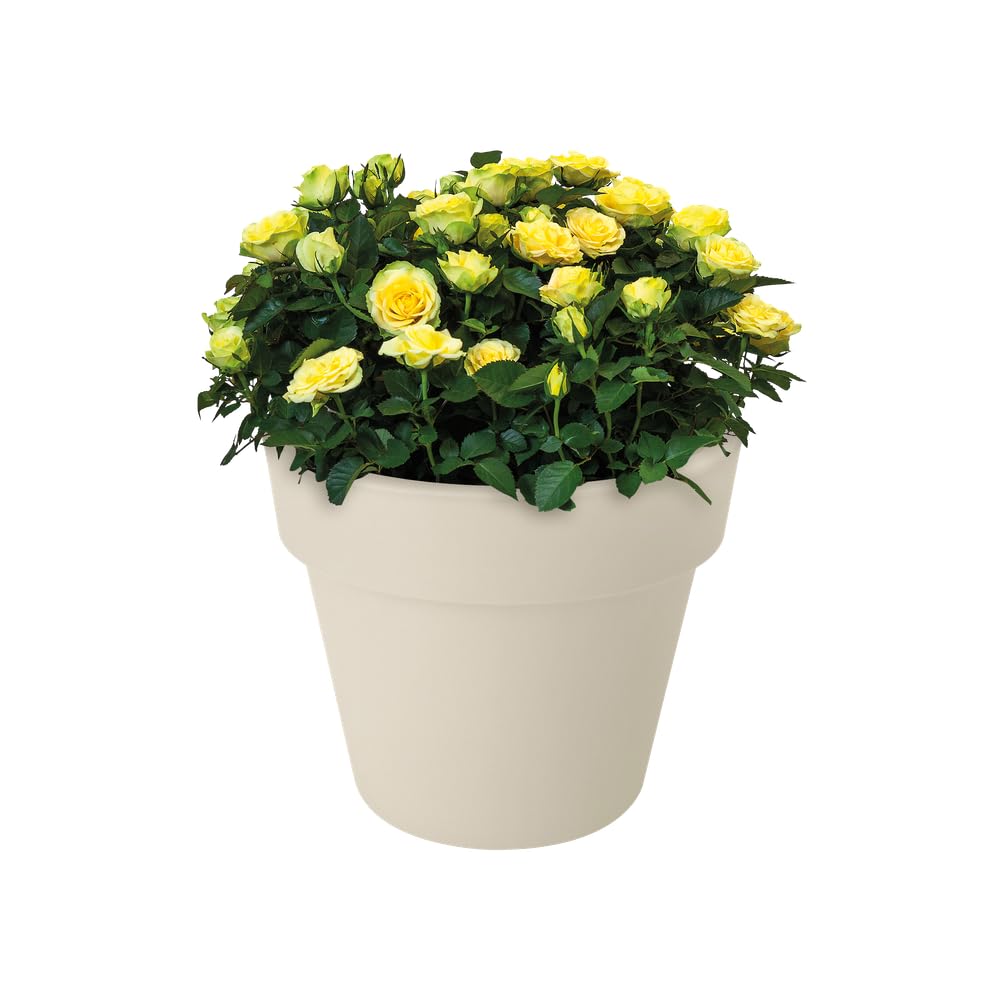 elho Green Basics Top Planter 23 Blumentopf Baumwolle 23 cm