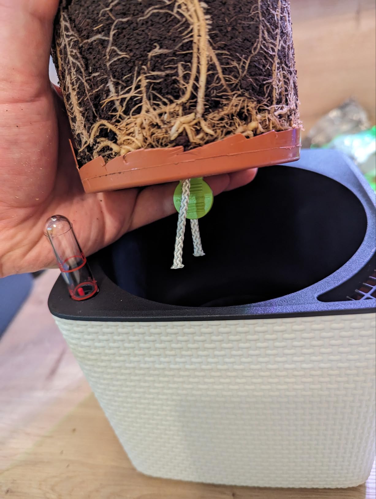 Lechuza Cube Color 16 Pflanzgefäß Schiefergrau mit Bewässerung