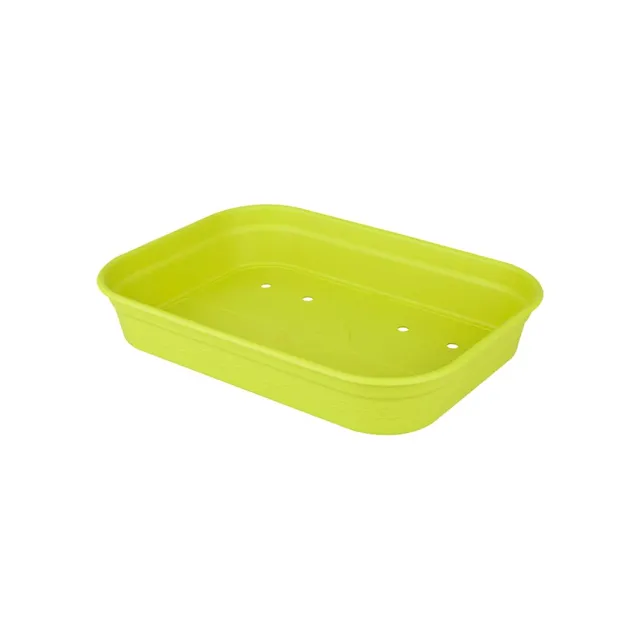 elho Green Basics Anzucht Schale M Pflanzschale Lime Grün