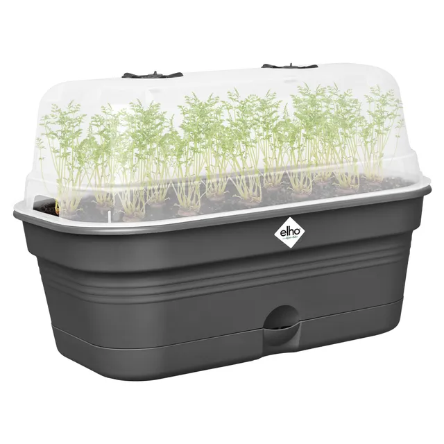 elho Green Basics Anzuchtschale M Schwarz mit Haube 32 cm