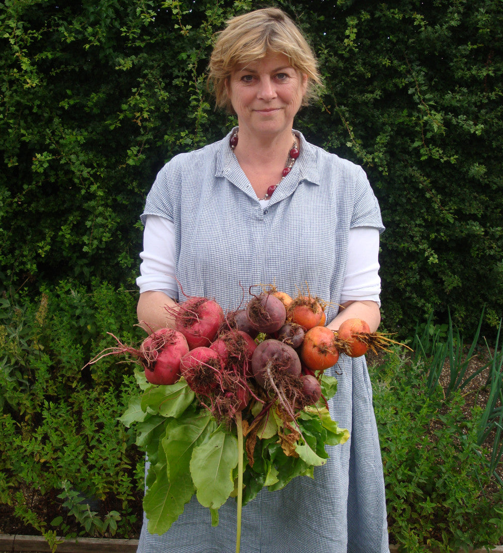 Sarah Raven Seeds Rote Bete Samen Kollektion 3 Packungen