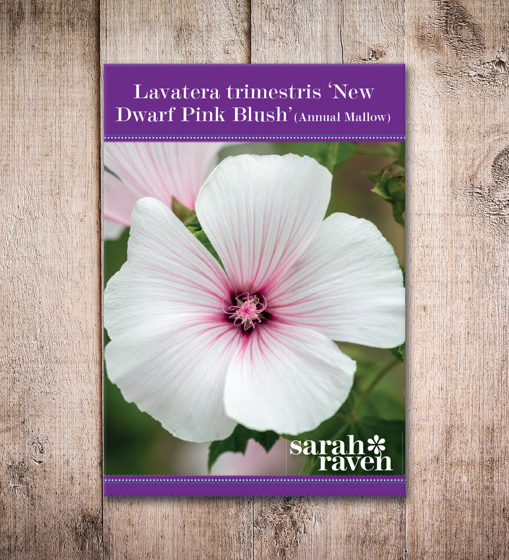 Sarah Raven Seeds Lavatera New Dwarf Pink Blush Samen 75 Samen rosa