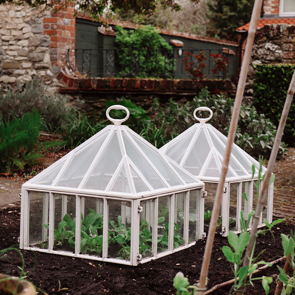 Sarah Raven Claverton Square Cloche Pflanzglocke Glas 45cm einzeln
