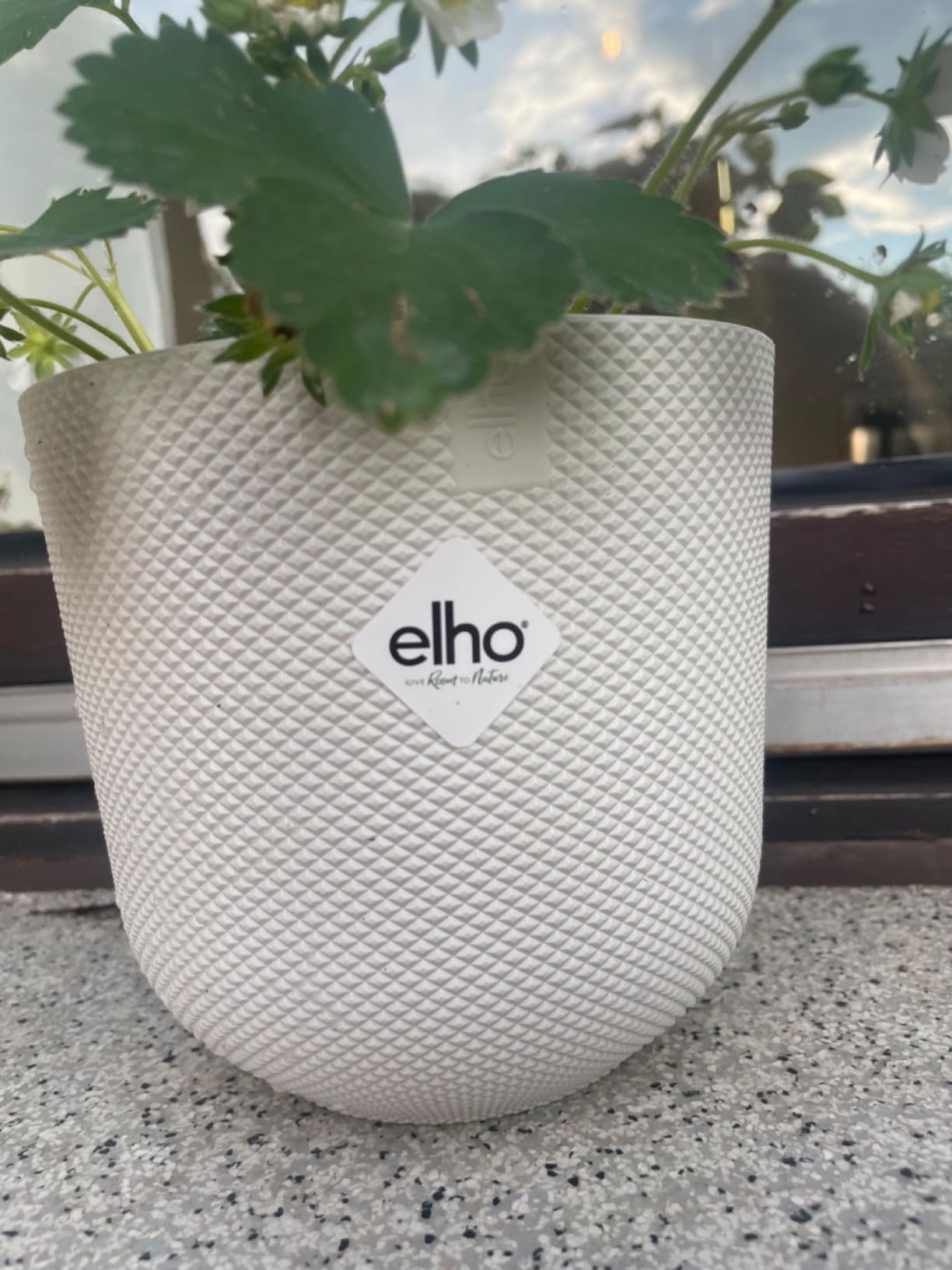 elho Jazz Blumentopf 3er Set 14/16/19 Seidenweiß Indoor