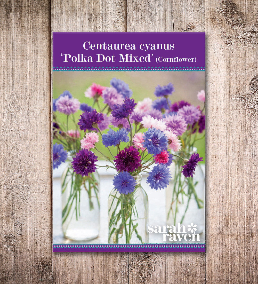 Sarah Raven Seeds Centaurea Polka Dot Mixed Samen 500 Stück