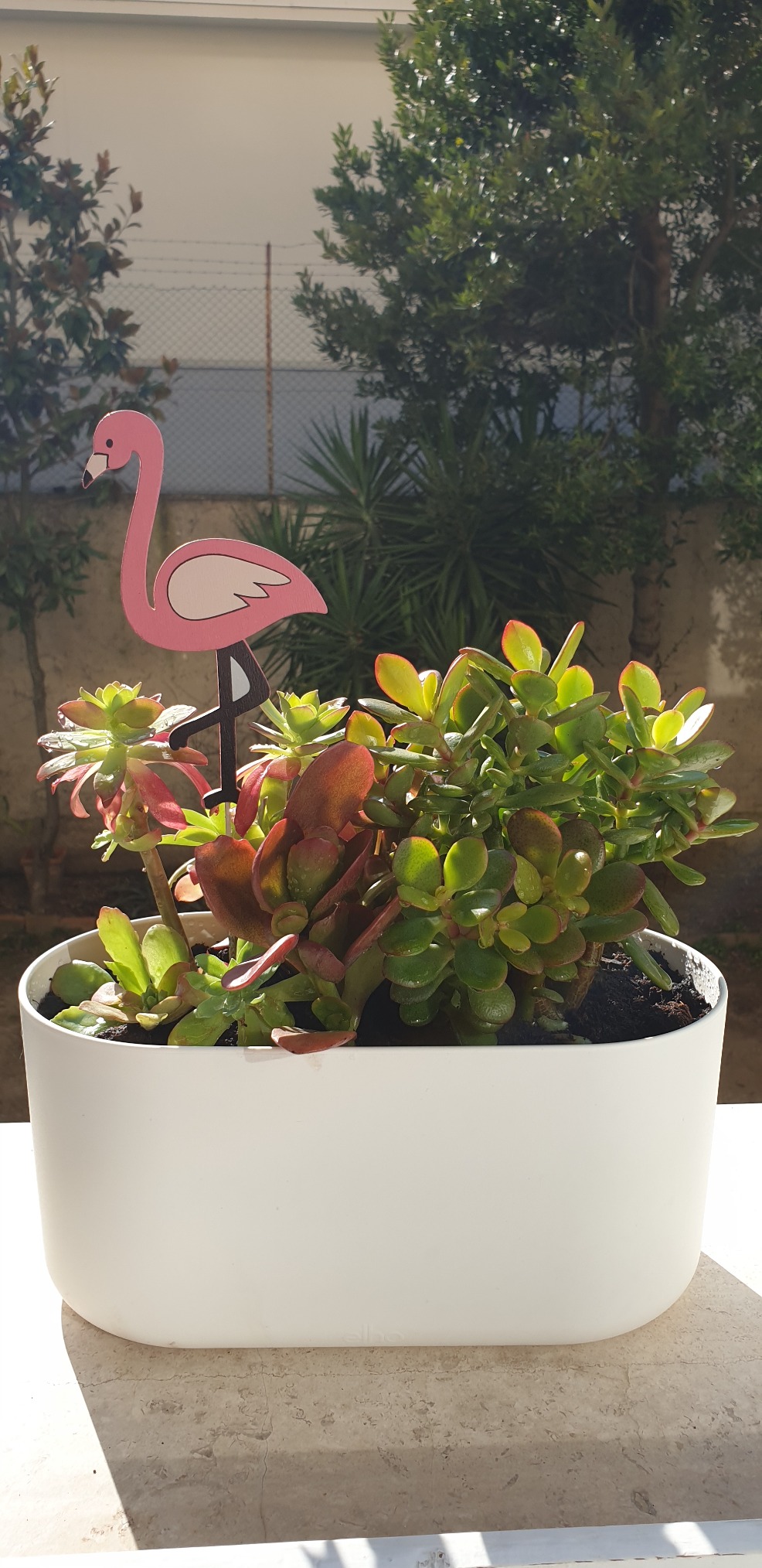 elho B.for Soft Duo Blumentopf 27 cm Weiß