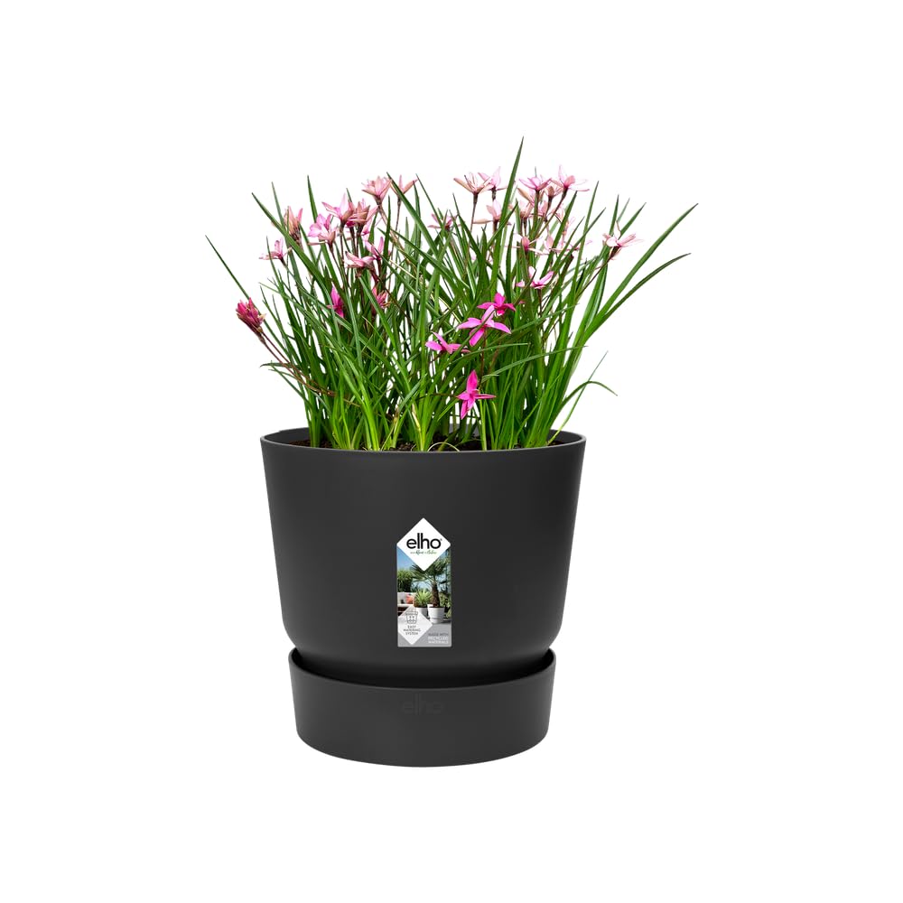 elho Greenville Rund 25 cm Blumentopf Living Schwarz frostbeständig