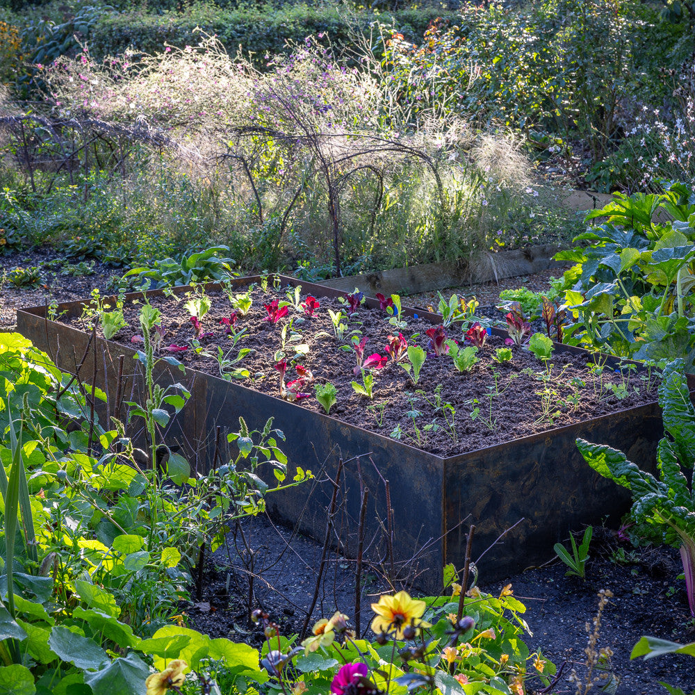 Sarah Raven Solid Steel Raised Beds Hochbeet Rechteck Stahl 40cm