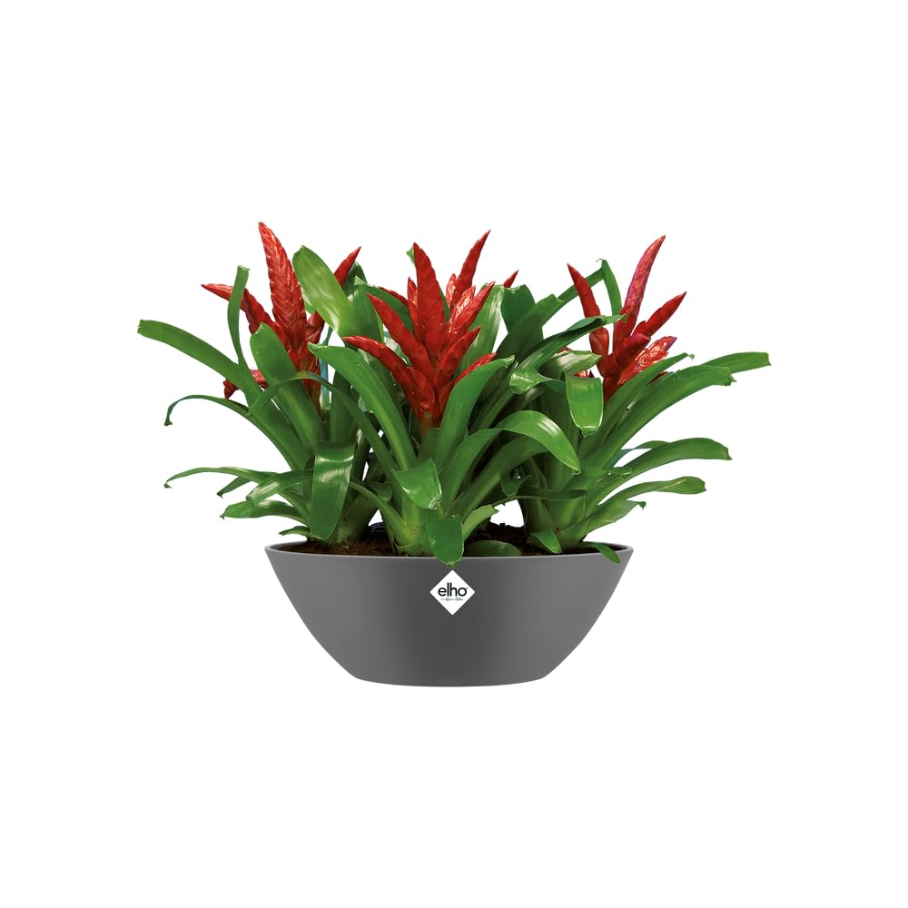 elho Brussels Oval 20 Blumentopf Anthrazit 20 cm wasserdicht