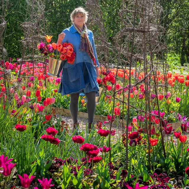 Sarah Raven Bulbs Bold Brilliant Tulpenzwiebeln 90 Stk Mix