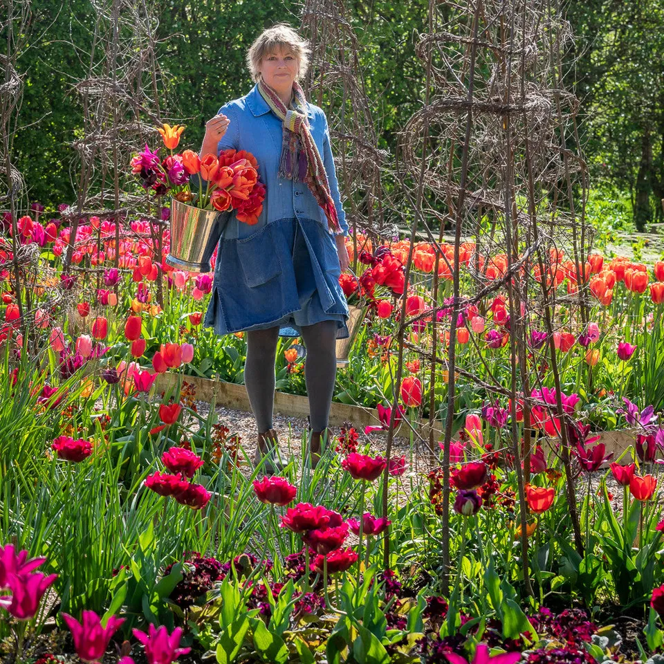 Sarah Raven Bulbs Bold Brilliant Tulpenzwiebeln 90 Stk Mix