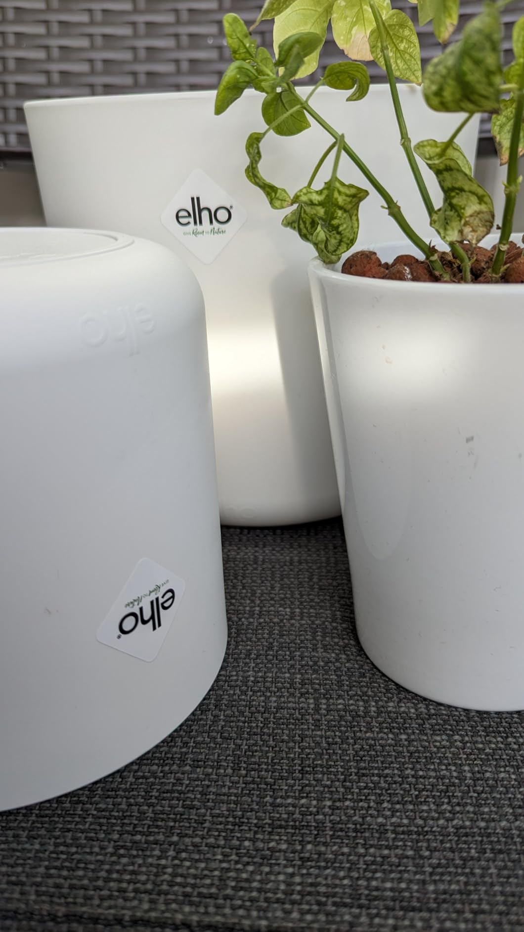 elho B.for Soft Rund Blumentopf 18 Anthracite 3er Set Innen