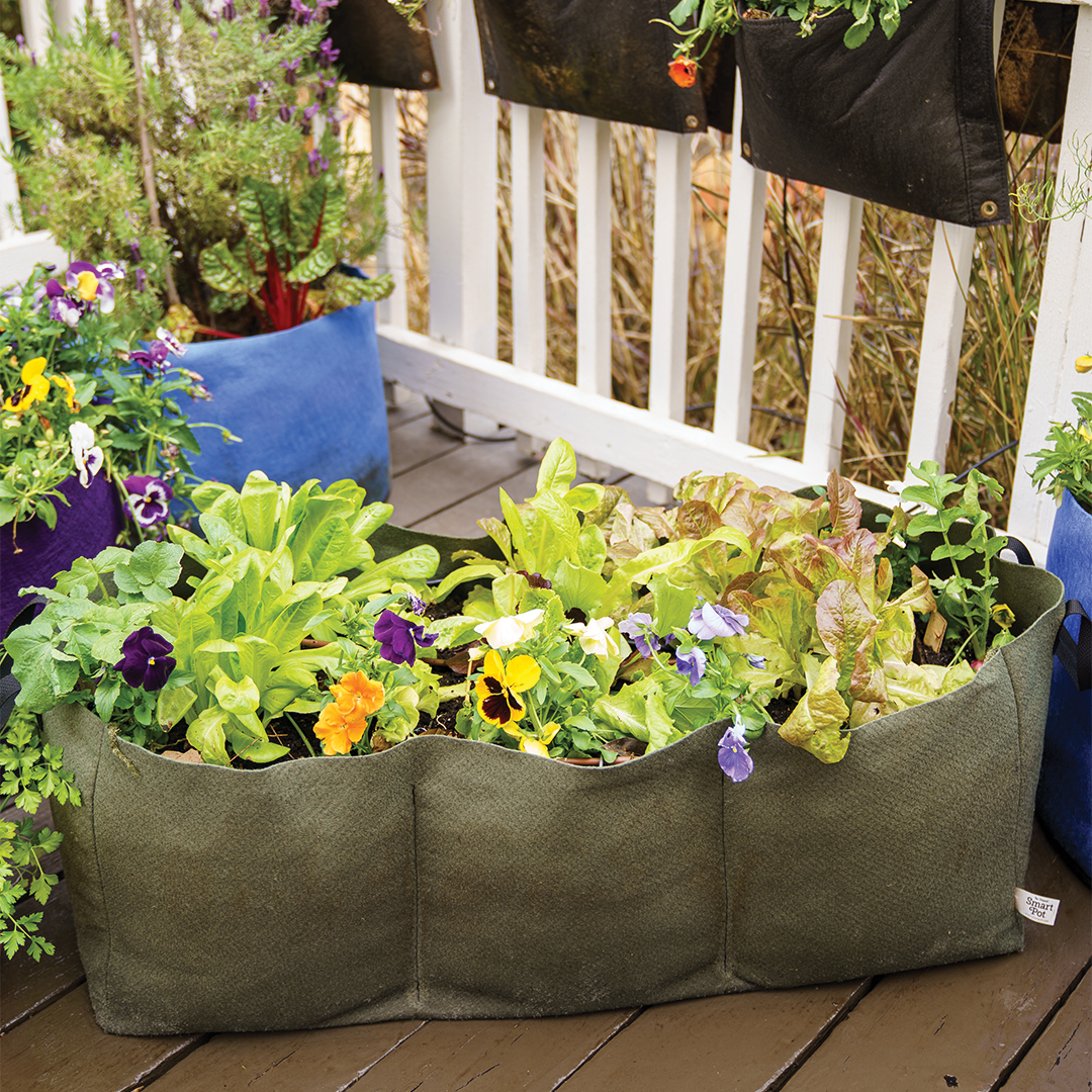 Smart Pot Raised Beds Pflanzsack Lil Shorty Hochbeet