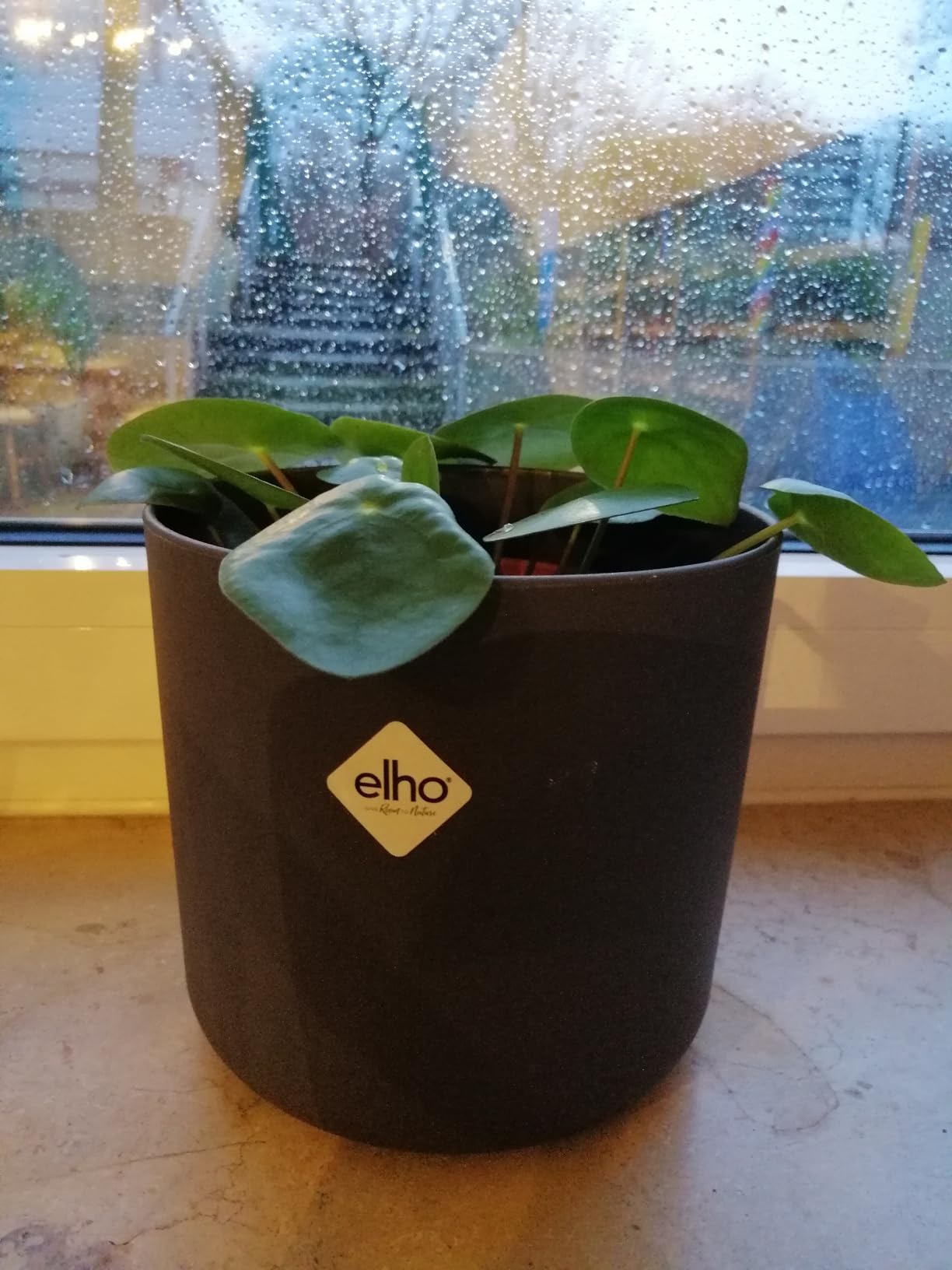 elho B.for Soft Rund Blumentopf 18 Anthracite 3er Set Innen