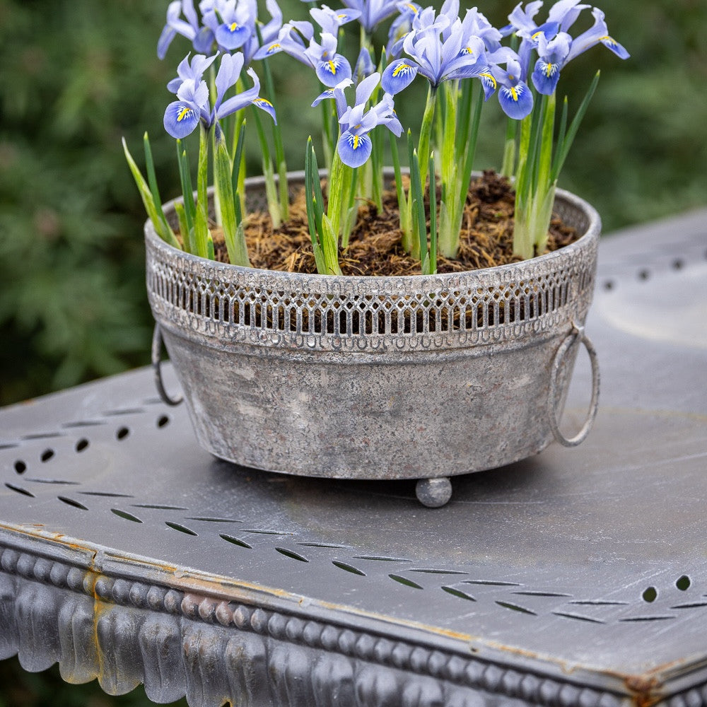 Sarah Raven Scalloped Metal Table Pflanztisch 100x50cm Zink
