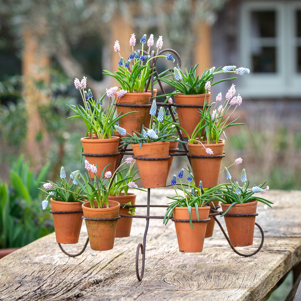 Sarah Raven Tabletop Plant Theatre Blumenständer Metall 3-stufig 52cm