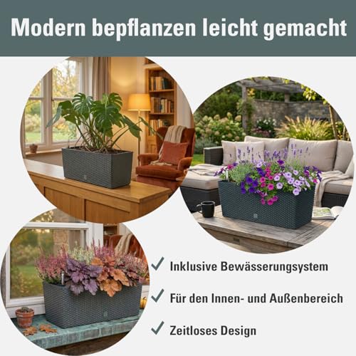 Prosperplast Rato Case Blumenkasten anthrazit 17L Bewässerung