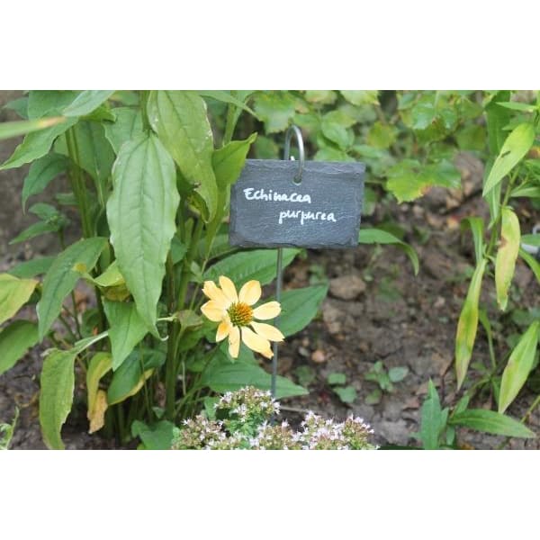 GardenMate Pflanzschilder Schiefer 55cm 10 Stück naturell