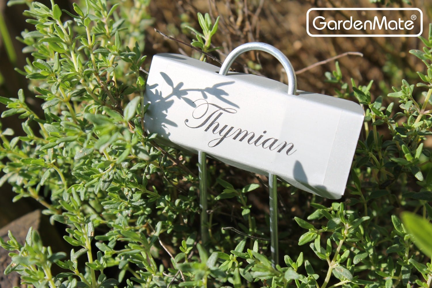 GardenMate Drucketiketten transparent 90 Stk. für Poster wetterfest