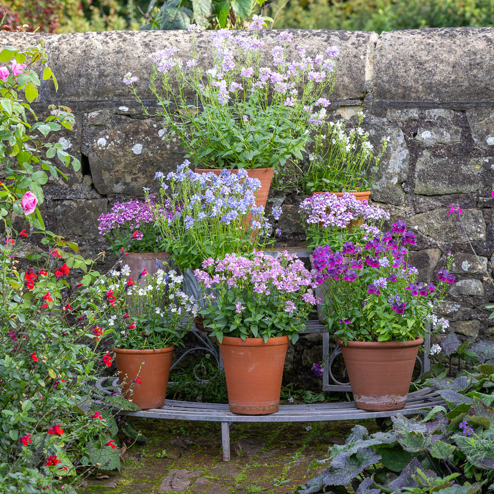 Sarah Raven Gardening Plant Theatre Pflanzregal Metall Low 3-stufig