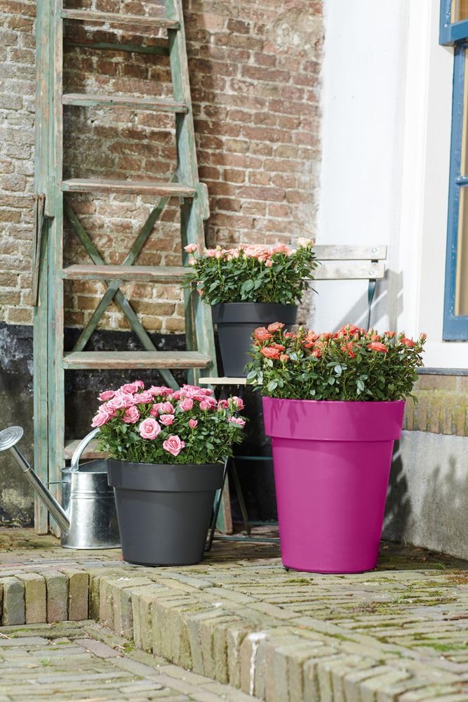 elho Green Basics Topf Blumentopf Kirschrot 35 cm hoch