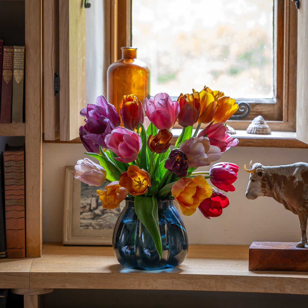 Sarah Raven Bulbs Mellow Tulip Blumenzwiebeln 25 Stück vintage